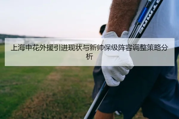 上海申花外援引进现状与新帅保级阵容调整策略分析 - Leyu